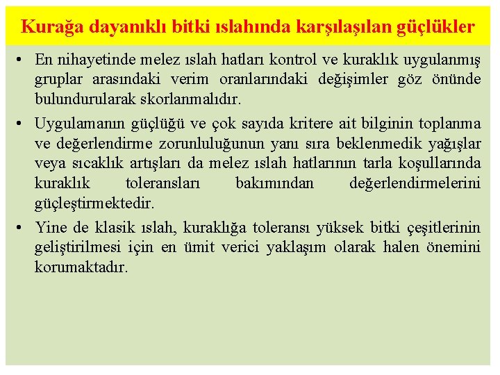 Kurağa dayanıklı bitki ıslahında karşılan güçlükler • En nihayetinde melez ıslah hatları kontrol ve