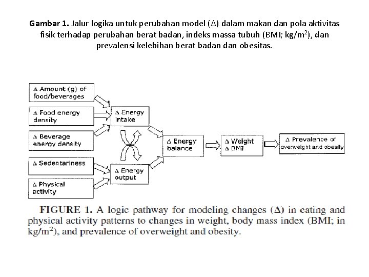 Gambar 1. Jalur logika untuk perubahan model ( ) dalam makan dan pola aktivitas