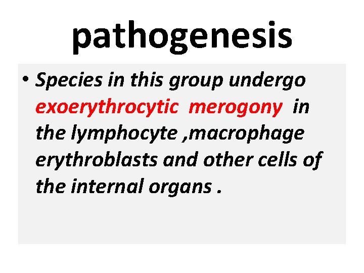 pathogenesis • Species in this group undergo exoerythrocytic merogony in the lymphocyte , macrophage