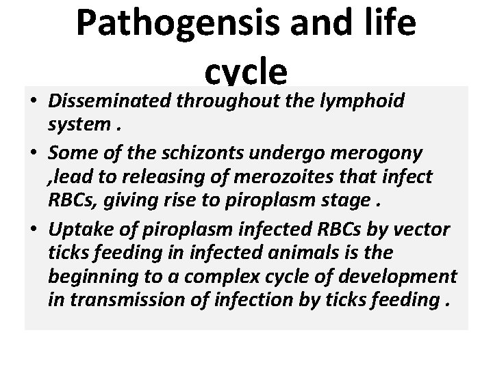 Pathogensis and life cycle • Disseminated throughout the lymphoid system. • Some of the