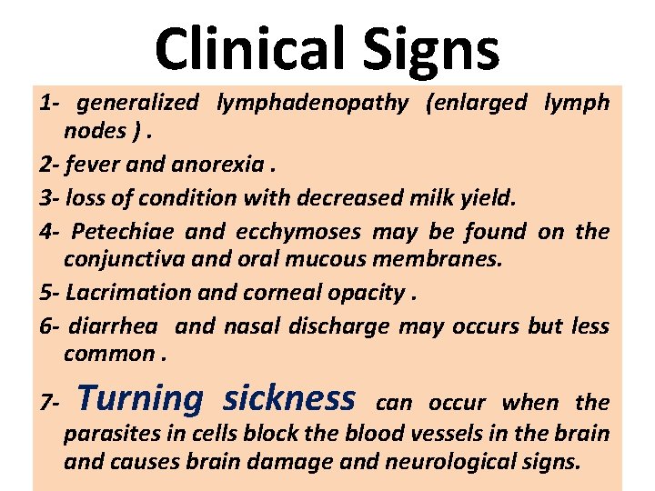 Clinical Signs 1 - generalized lymphadenopathy (enlarged lymph nodes ). 2 - fever and