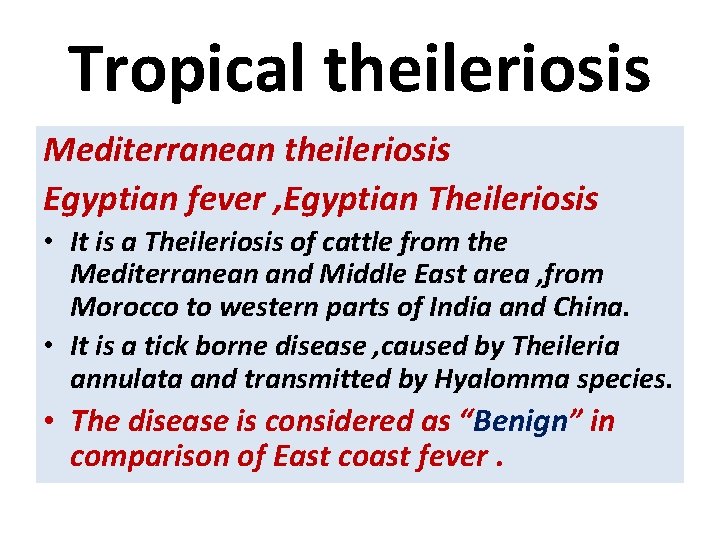 Tropical theileriosis Mediterranean theileriosis Egyptian fever , Egyptian Theileriosis • It is a Theileriosis