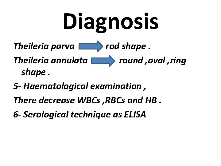 Diagnosis Theileria parva rod shape. Theileria annulata round , oval , ring shape. 5