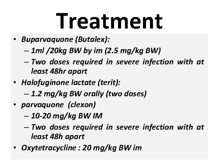 Treatment • Buparvaquone (Butalex): – 1 ml /20 kg BW by im (2. 5