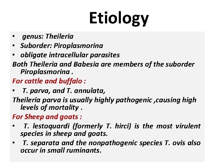 Etiology • genus: Theileria • Suborder: Piroplasmorina • obligate intracellular parasites Both Theileria and