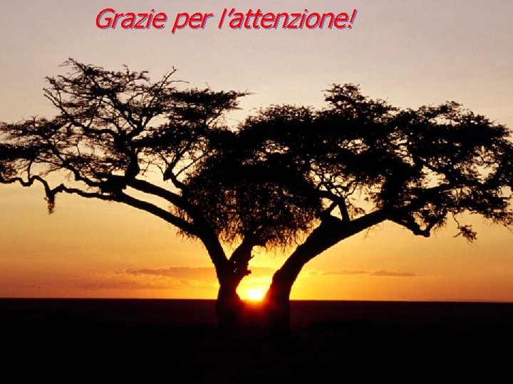 Grazie per l’attenzione! Ordine dei Medici Chirurghi e degli Odontoiatri di Ancona Hotel Federico