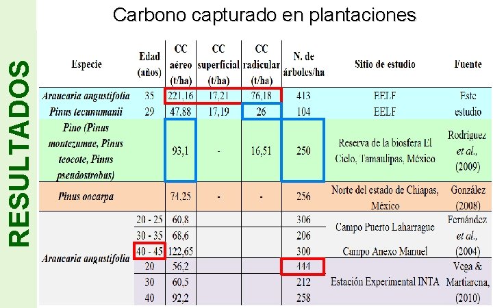 RESULTADOS Carbono capturado en plantaciones Page 10 