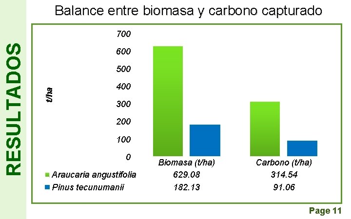 Balance entre biomasa y carbono capturado 600 500 t/ha RESULTADOS 700 400 300 200