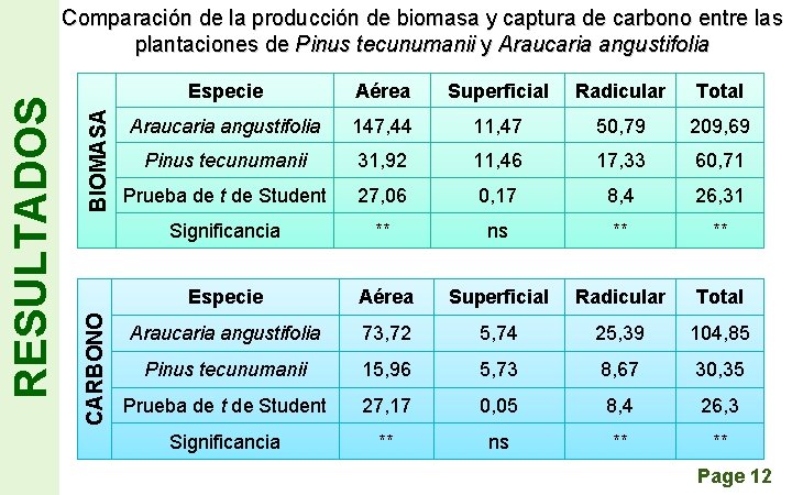 BIOMASA CARBONO RESULTADOS Comparación de la producción de biomasa y captura de carbono entre