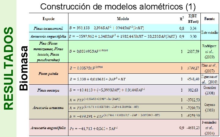 Biomasa RESULTADOS Construcción de modelos alométricos (1) Page 13 