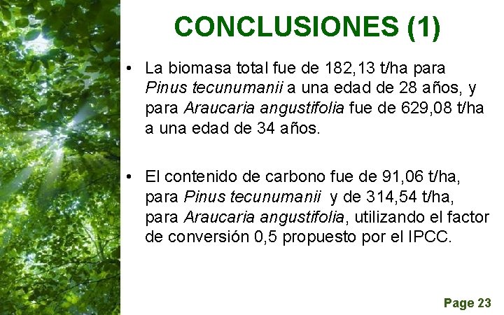 CONCLUSIONES (1) • La biomasa total fue de 182, 13 t/ha para Pinus tecunumanii