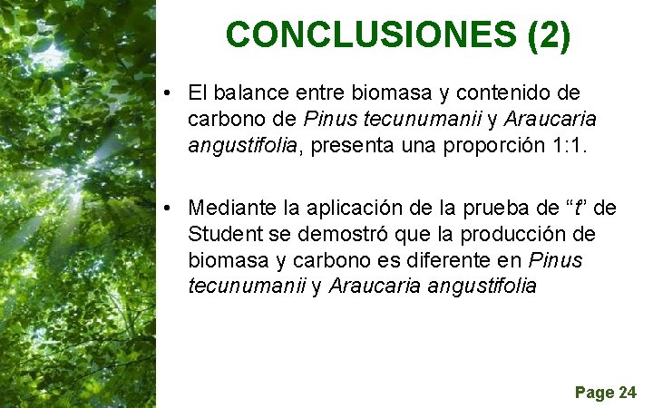 CONCLUSIONES (2) • El balance entre biomasa y contenido de carbono de Pinus tecunumanii
