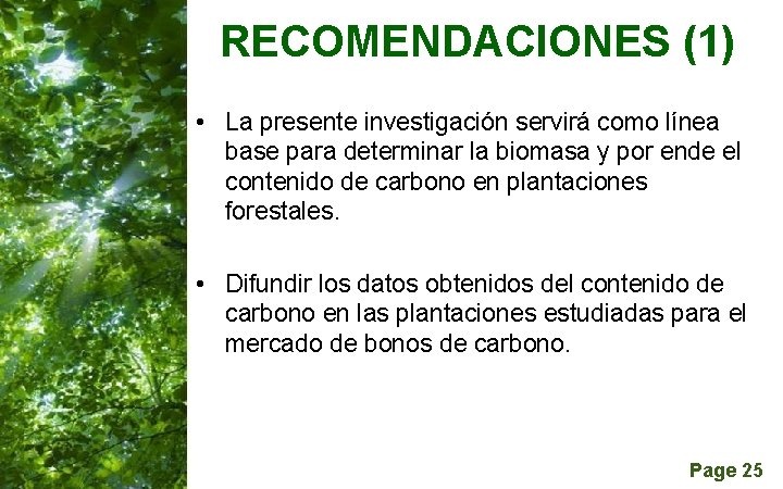 RECOMENDACIONES (1) • La presente investigación servirá como línea base para determinar la biomasa