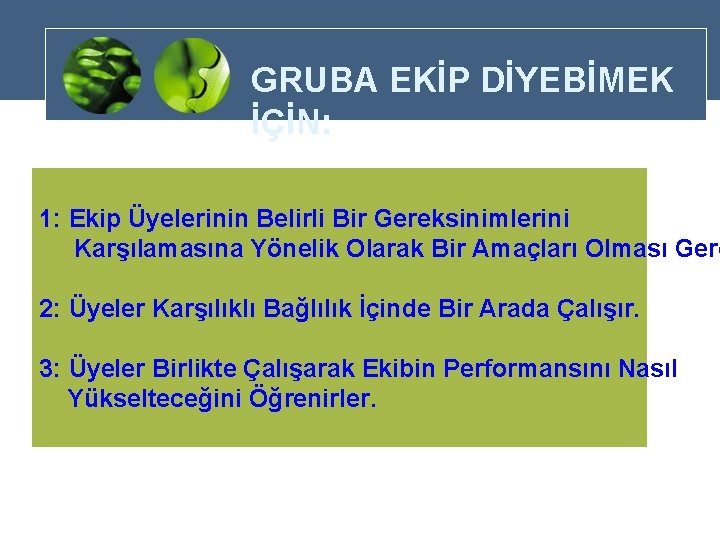 GRUBA EKİP DİYEBİMEK İÇİN: 1: Ekip Üyelerinin Belirli Bir Gereksinimlerini Karşılamasına Yönelik Olarak Bir