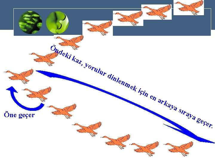 Ön de ki k a z, y oru lur din len m ek Öne