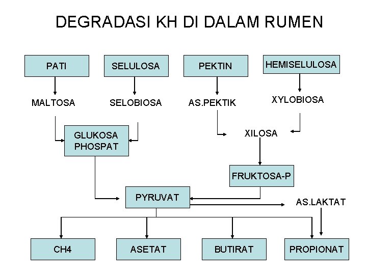 DEGRADASI KH DI DALAM RUMEN PATI SELULOSA MALTOSA SELOBIOSA HEMISELULOSA PEKTIN XYLOBIOSA AS. PEKTIK