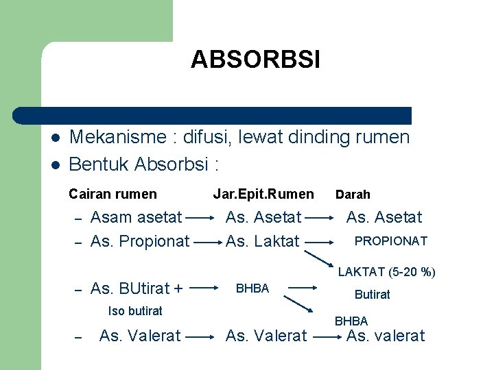 ABSORBSI l l Mekanisme : difusi, lewat dinding rumen Bentuk Absorbsi : Cairan rumen