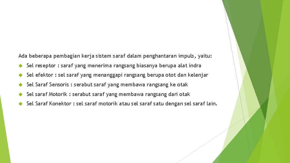 Ada beberapa pembagian kerja sistem saraf dalam penghantaran impuls, yaitu: Sel reseptor : saraf