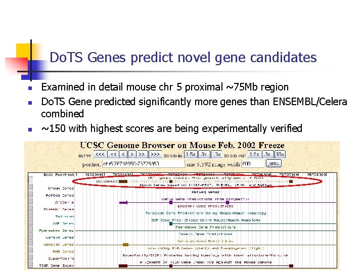 Do. TS Genes predict novel gene candidates n n n Examined in detail mouse