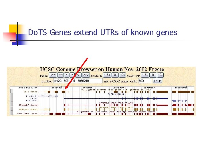 Do. TS Genes extend UTRs of known genes 