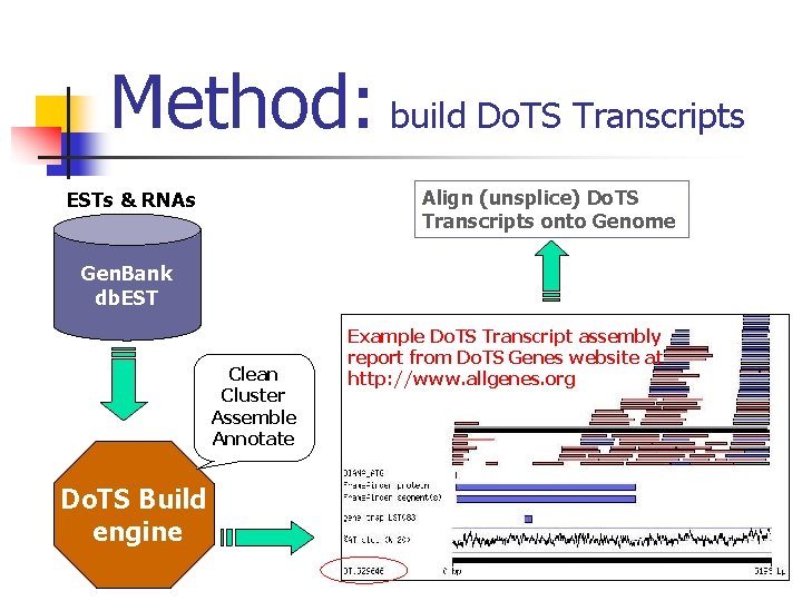 Method: build Do. TS Transcripts Align (unsplice) Do. TS Transcripts onto Genome ESTs &
