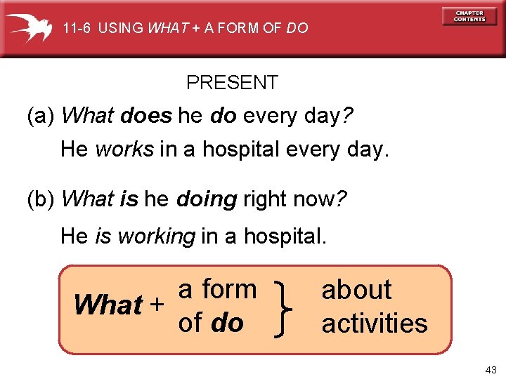 11 -6 USING WHAT + A FORM OF DO PRESENT (a) What does he