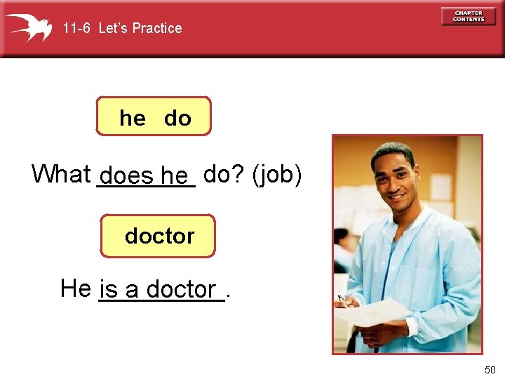 11 -6 Let’s Practice he do What _______ do? (job) does he doctor He