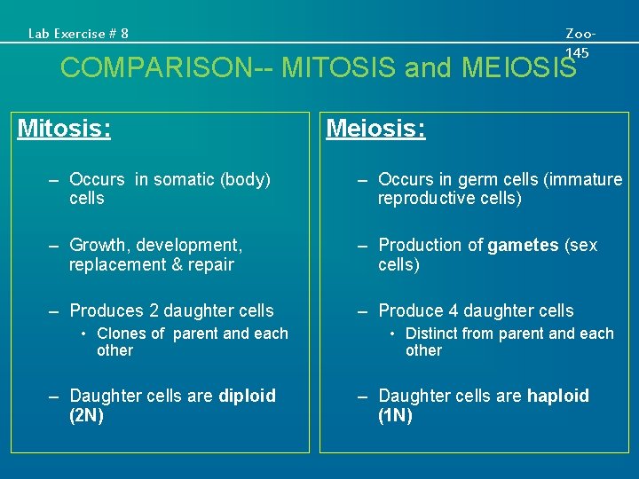 Lab Exercise # 8 Zoo 145 COMPARISON-- MITOSIS and MEIOSIS Mitosis: Meiosis: – Occurs