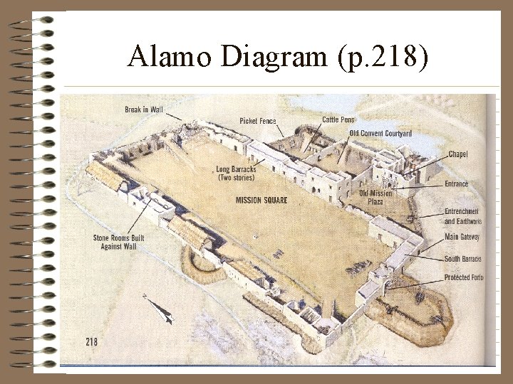 Alamo Diagram (p. 218) 