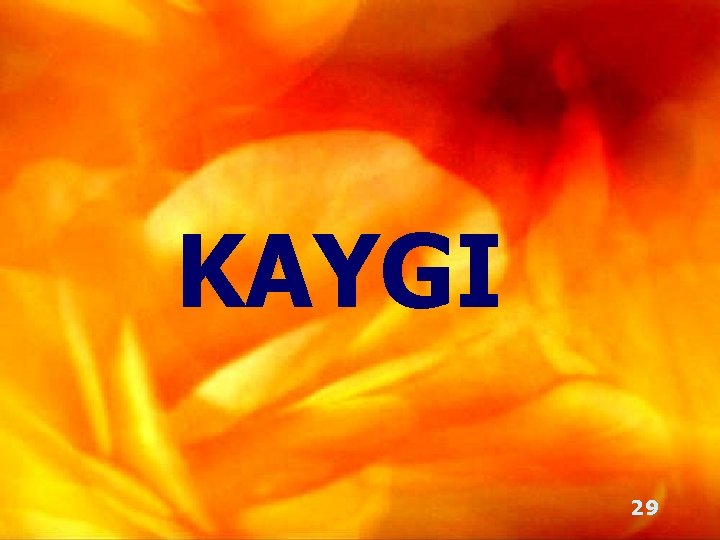 KAYGI 29 