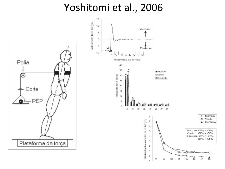 Yoshitomi et al. , 2006 