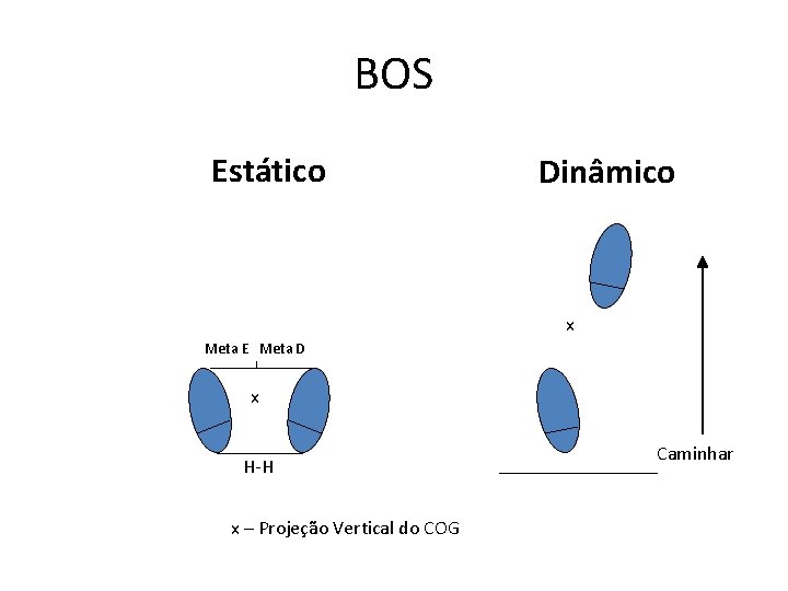 BOS Estático Dinâmico x Meta E Meta D x H-H x – Projeção Vertical