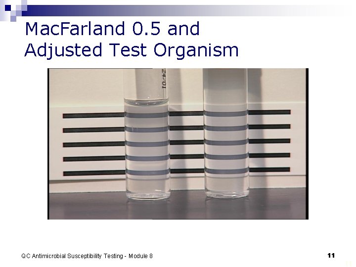 Mac. Farland 0. 5 and Adjusted Test Organism QC Antimicrobial Susceptibility Testing - Module