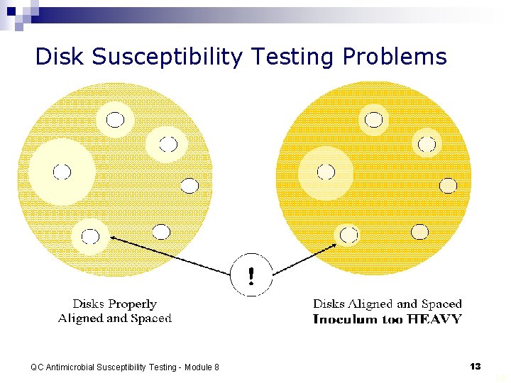 Disk Susceptibility Testing Problems QC Antimicrobial Susceptibility Testing - Module 8 13 13 