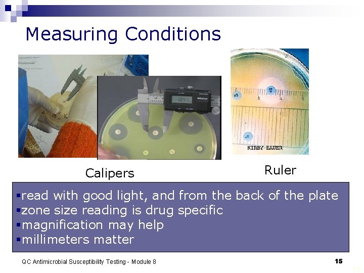 Measuring Conditions Calipers Ruler §read with good light, and from the back of the
