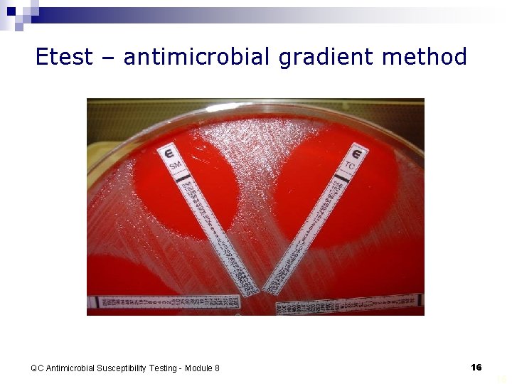 Etest – antimicrobial gradient method QC Antimicrobial Susceptibility Testing - Module 8 16 16