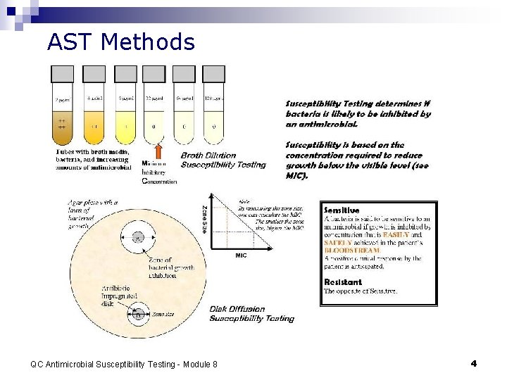 AST Methods QC Antimicrobial Susceptibility Testing - Module 8 4 