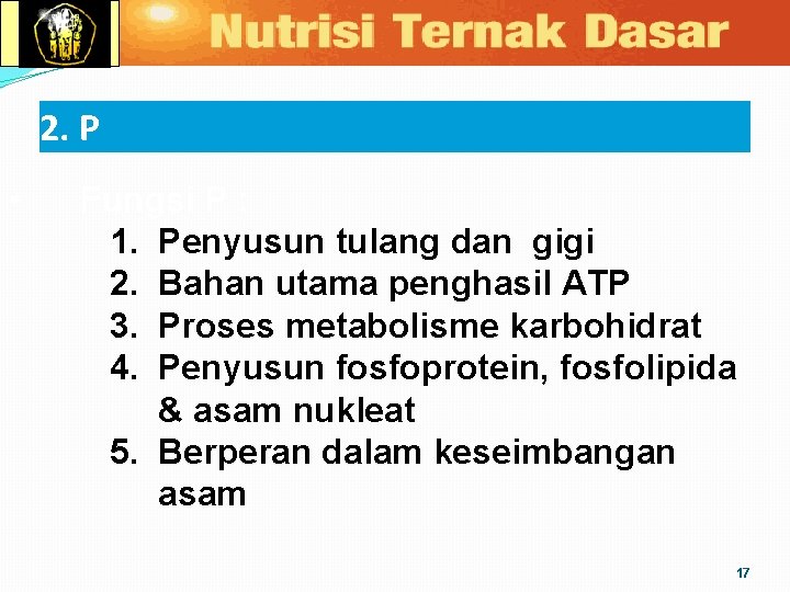 2. P • Fungsi P : 1. Penyusun tulang dan gigi 2. Bahan utama