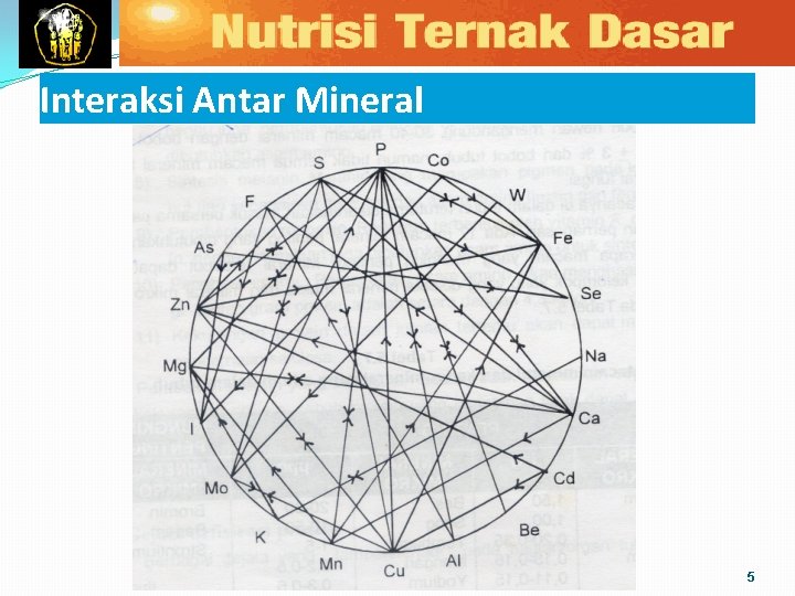 Interaksi Antar Mineral 5 