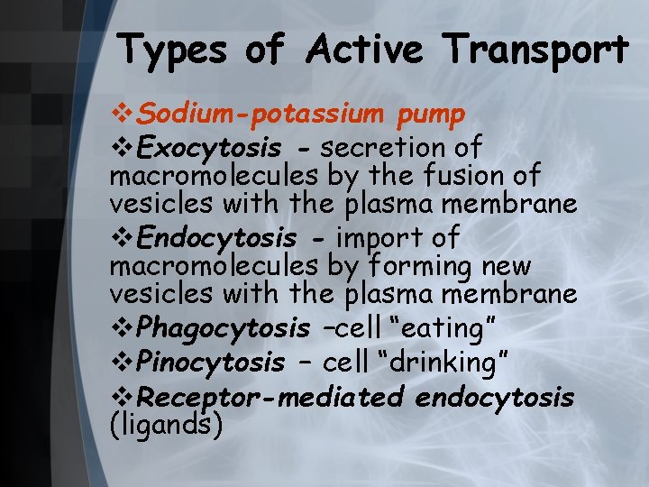 Types of Active Transport v. Sodium-potassium pump v. Exocytosis - secretion of macromolecules by
