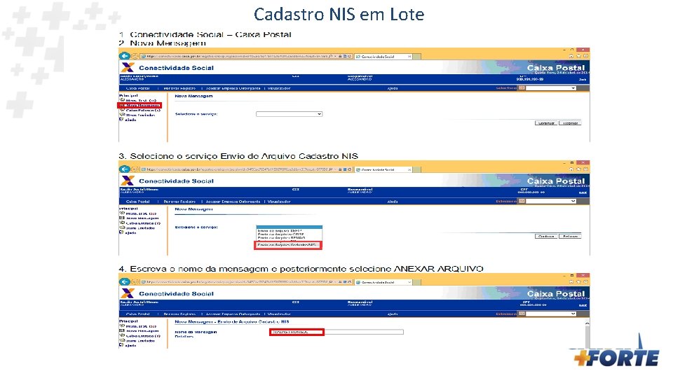 Cadastro NIS em Lote 