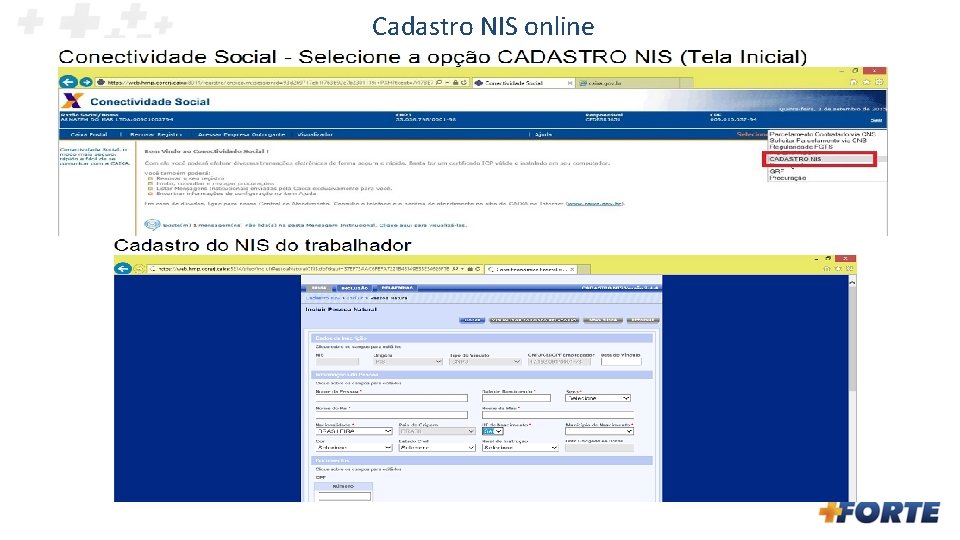 Cadastro NIS online 