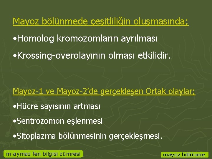 Mayoz bölünmede çeşitliliğin oluşmasında; • Homolog kromozomların ayrılması • Krossing-overolayının olması etkilidir. Mayoz-1 ve