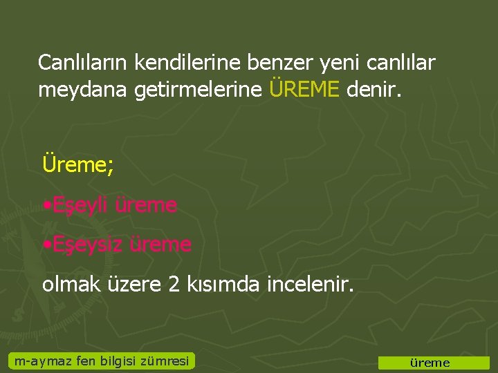 Canlıların kendilerine benzer yeni canlılar meydana getirmelerine ÜREME denir. Üreme; • Eşeyli üreme •