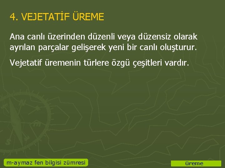 4. VEJETATİF ÜREME Ana canlı üzerinden düzenli veya düzensiz olarak ayrılan parçalar gelişerek yeni