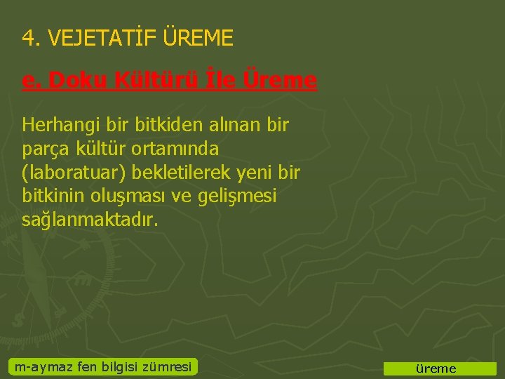 4. VEJETATİF ÜREME e. Doku Kültürü İle Üreme Herhangi bir bitkiden alınan bir parça