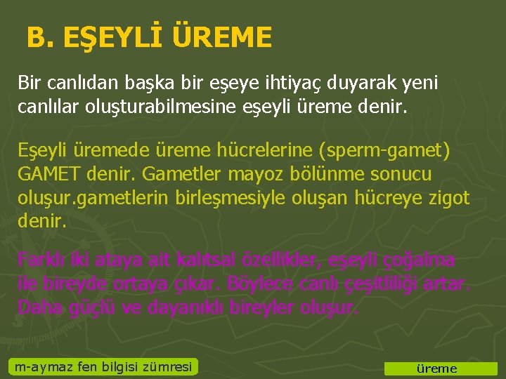 B. EŞEYLİ ÜREME Bir canlıdan başka bir eşeye ihtiyaç duyarak yeni canlılar oluşturabilmesine eşeyli