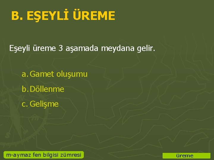 B. EŞEYLİ ÜREME Eşeyli üreme 3 aşamada meydana gelir. a. Gamet oluşumu b. Döllenme