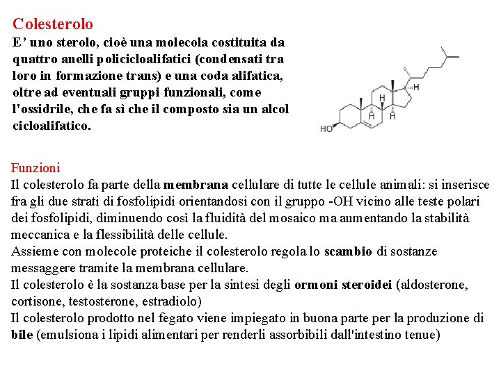 Colesterolo E’ uno sterolo, cioè una molecola costituita da quattro anelli policicloalifatici (condensati tra