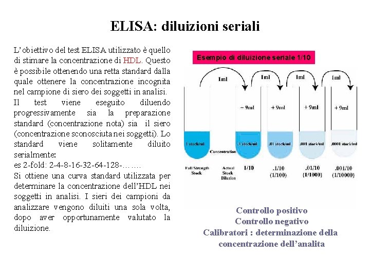 ELISA: diluizioni seriali L’obiettivo del test ELISA utilizzato è quello di stimare la concentrazione